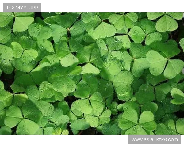 凯发登录-凯发真人网娱乐积极响应国家政策，打造绿色健康的线上娱乐新生态